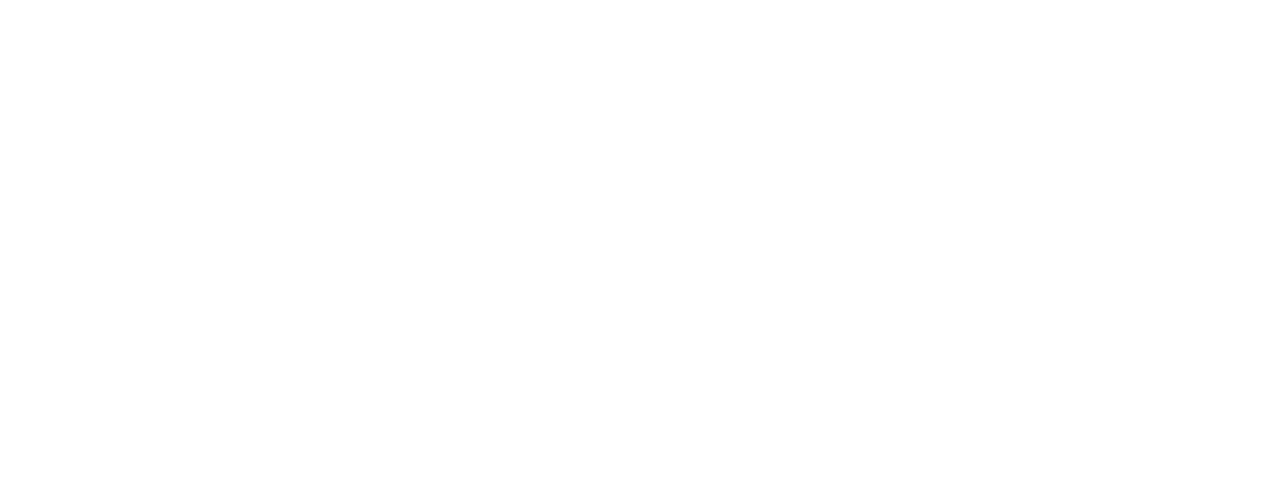Therasize